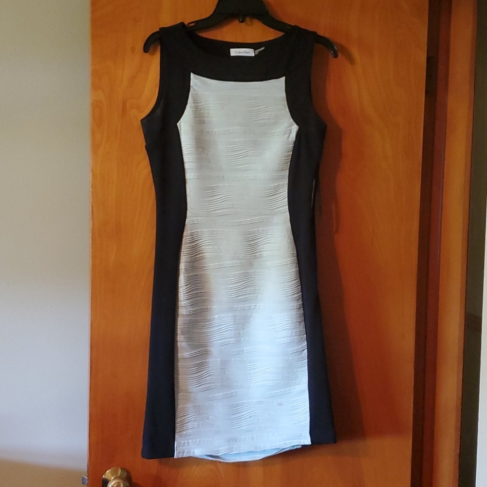 Calvin Klein Dress